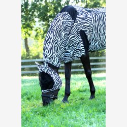 Horka Eksemdkken Zebra