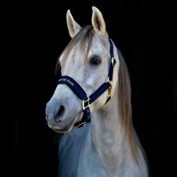 Back on Track Grime "Werano" Navy