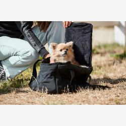 Catago Taske "Hundetaske Quilted" Sort