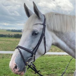 By Weber Trense "Alex" Brun m. Slv