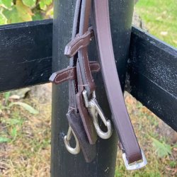 By Weber Trense "Alex" Brun m. Slv