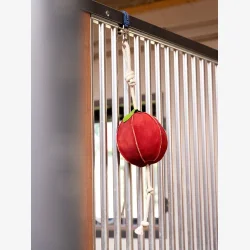 LeMieux Hestelegetj ble