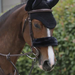 Kentucky Cover til Nsebnd Natur