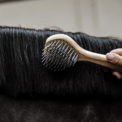 Kentucky Grooming Deluxe Strigle "Mane Brush"