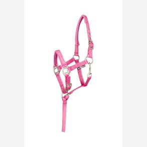 Horse Guard Grime Fl 