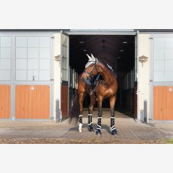 Horse Guard Stigbjler "Fillis SS" 12 cm.