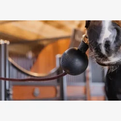 Kentucky  "Rubberball" Black 11,5 cm.