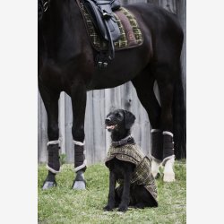 Eskadron Dressurgamacher "Mesh Faux Fur Platinum 24" Teak Brown