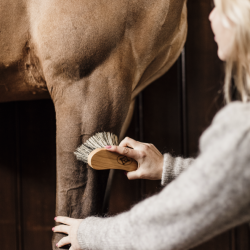 Kentucky Grooming Deluxe Strigle "Middle Hard Brush"