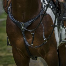 By Weber Fortj "Catina" Brun/Slv