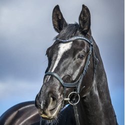 By Weber Trense Anatomisk "Cayenne" Sort 