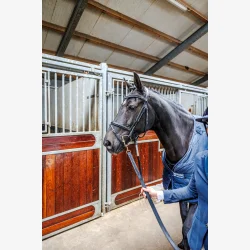 ByWilton Pandebnd Rhinestone Black