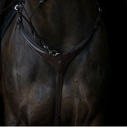 By Weber Fortj "Catina" Brun/Slv