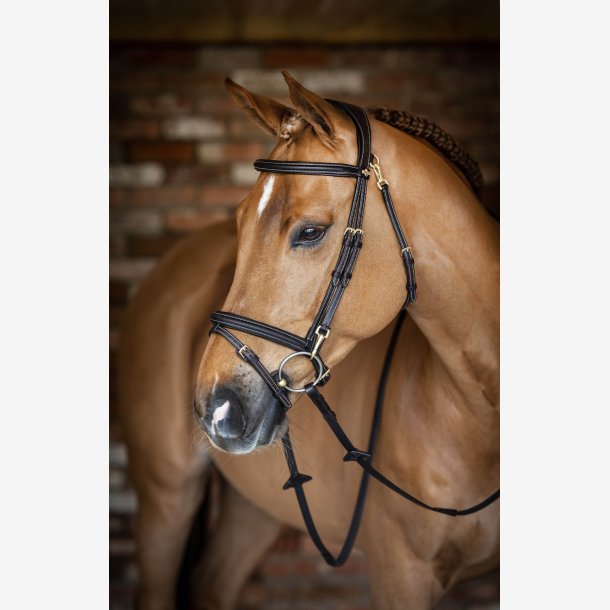 LeMieux Trense ''Work Bridle'' Brun