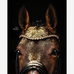 Utzon Equestrian Pandebnd "Empire" Golden Shadow