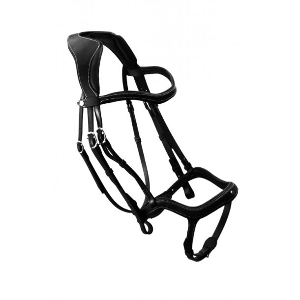 Antares Trense "Precision Bridle Y Noseband" Sort