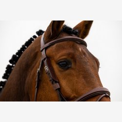 TRUST Blinkers Black