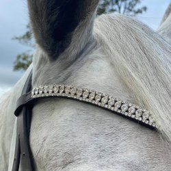 By Weber Trense "Alex" Brun m. Slv