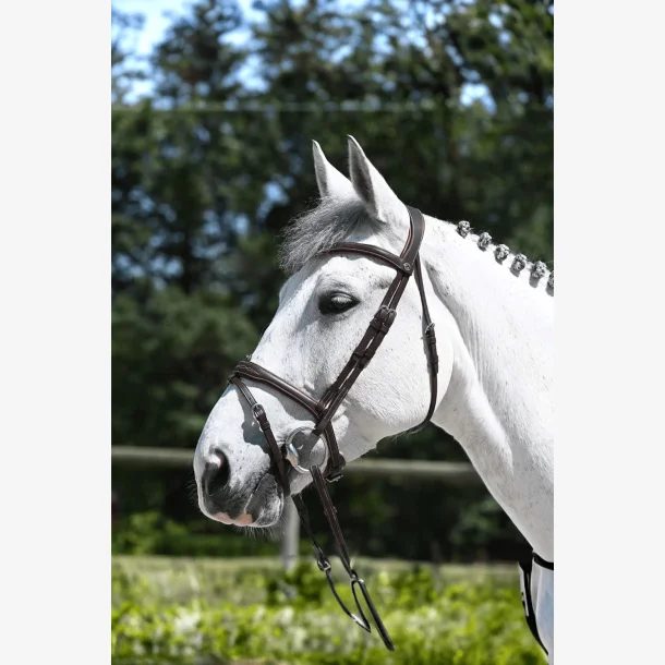 Antares Trense "Signature Flash Noseband Snaffle" Brun