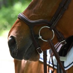 Antares Trense "Precision Bridle Y Noseband" Sort