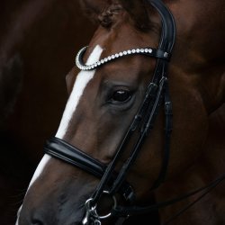 By Weber Kandar "Mary" Sort/Sort