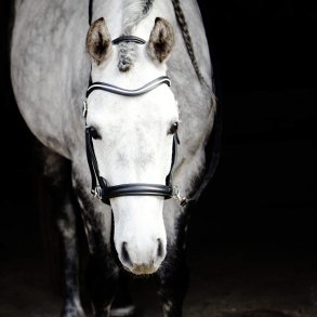 By Weber Trense Bidls 