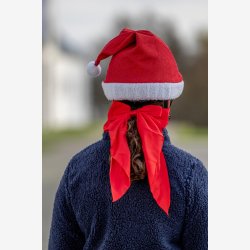 Horse Guard Julesljfe Rd