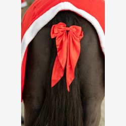 Horse Guard Julesljfe Rd