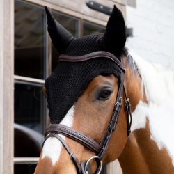 Kentucky Hut "Fly Weil Soundless Long" Black