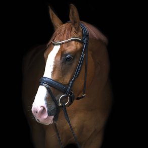 Utzon Equestrian Trense 