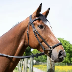 Antares Trense Hannoveransk 