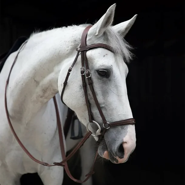 Antares Trense Hannoveransk "Origin  Bridle Drop Nose" Brun