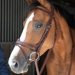 Antares Trense "Flash Noseband Bridle" Brun