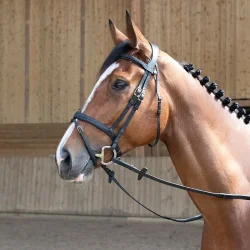 Antares Trense "Flash Noseband Bridle" Sort