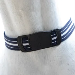Antares Fortj "Elastic Breast Collar"  Sort