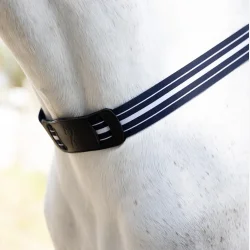Antares Fortj "Elastic Breast Collar"  Sort