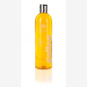 Carr & Day & Martin Shampoo Gallop Colour Chestnut & Palomino 500 ml.