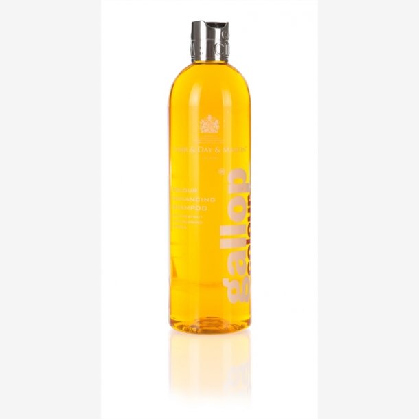 Carr &amp; Day &amp; Martin Shampoo Gallop Colour Chestnut &amp; Palomino 500 ml.