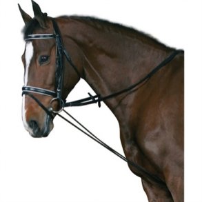 Horse Guard Elastikchambon