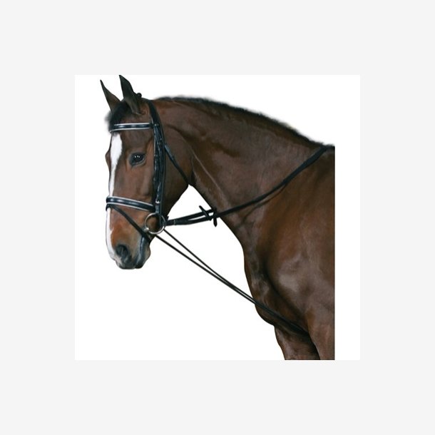 Horse Guard Elastikchambon