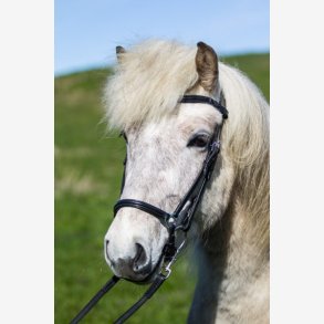 Eques Pandebnd Buet sort lder