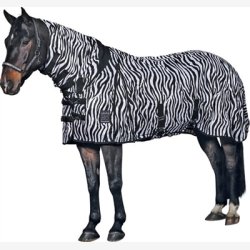 Horse Guard Dkken Zebra Insekt 