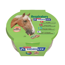 Mini Horslyx Respiratory